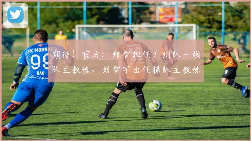 期待！官方：郑智担任广州队一线队主教练，刘智宇出任梯队主教练