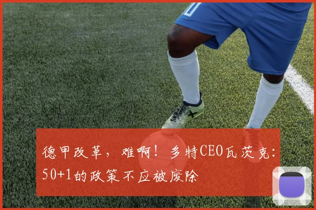 德甲改革，难啊！多特CEO瓦茨克：50+1的政策不应被废除